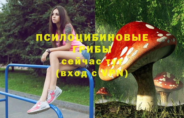 мяу мяу мука Богородицк